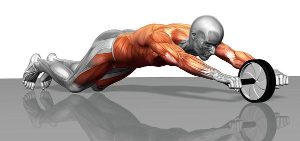 Какие мышцы можно тренировать